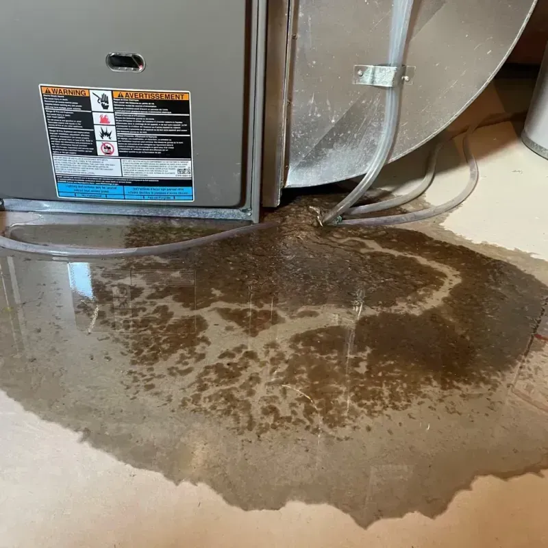 Appliance Leak Cleanup in Brookline, NH